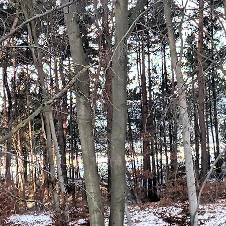 Mewa Aquamarina Onyx D&d Apartamento Miedzyzdroje